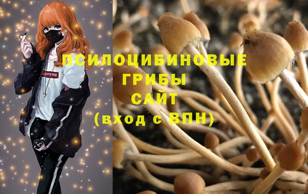 меф Арсеньев