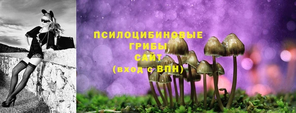 МДПВ Аркадак
